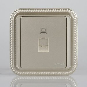 T&J天基經(jīng)典系列香檳色RJ45超五類模塊面板評(píng)測 家居網(wǎng)絡(luò)實(shí)用的優(yōu)雅升級(jí)